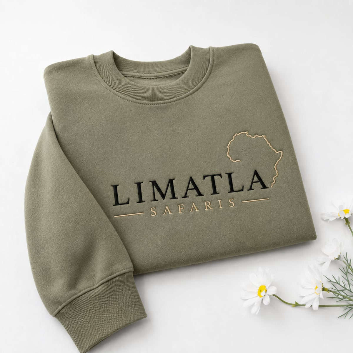 Ana Company Sweaters